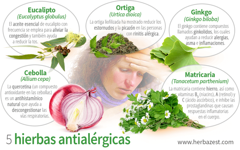 Antihistamínicos naturales: alivio de alergias