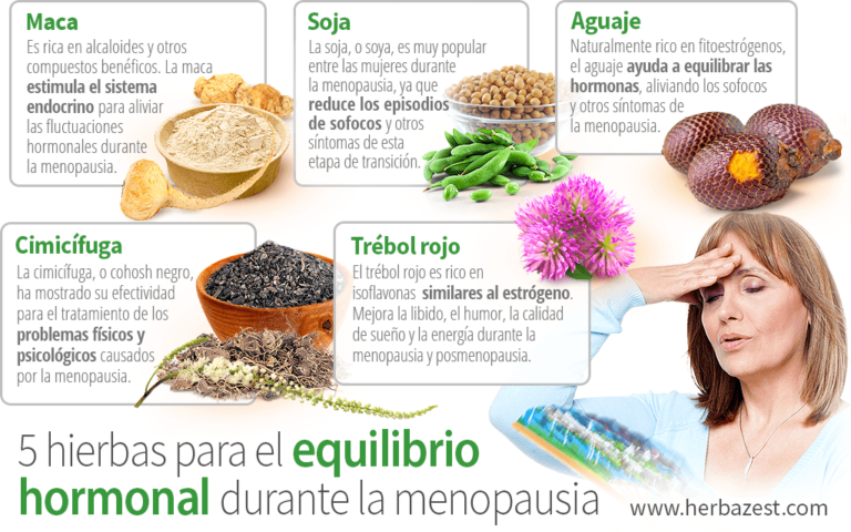 Cuidado natural para la menopausia: Plantas mimadoras de mujeres.