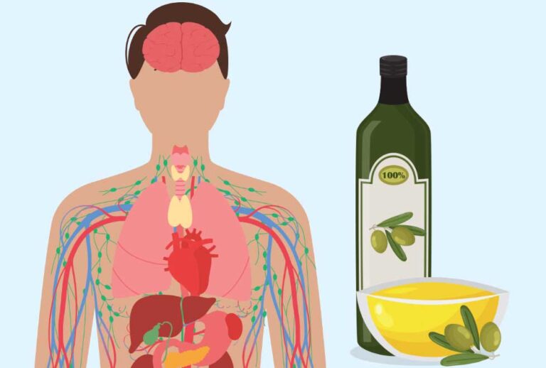 Salud digestiva: el poder del aceite de oliva