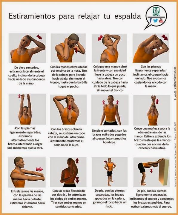 Tonifica tu cuerpo con ejercicios para cabeza, cuello, tronco, brazos, piernas y espalda